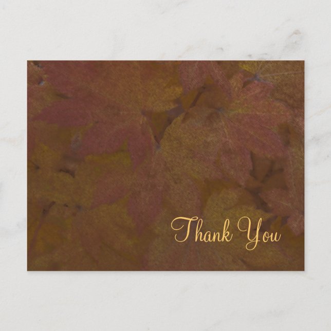 Coloured Maple Leaves Thank You Postcard (Front)