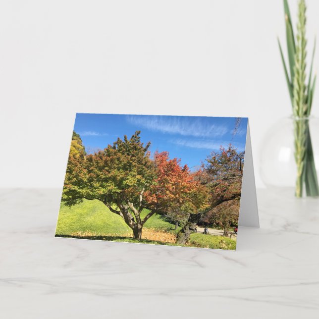 Coloured Maple Tree in Autumn Card (Front)