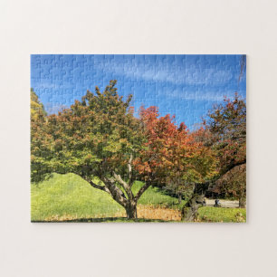 Coloured Maple Tree in Autumn Jigsaw Puzzle