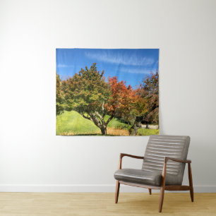 Coloured Maple Tree in Autumn Tapestry