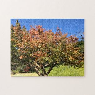 Coloured Maple Tree Jigsaw Puzzle