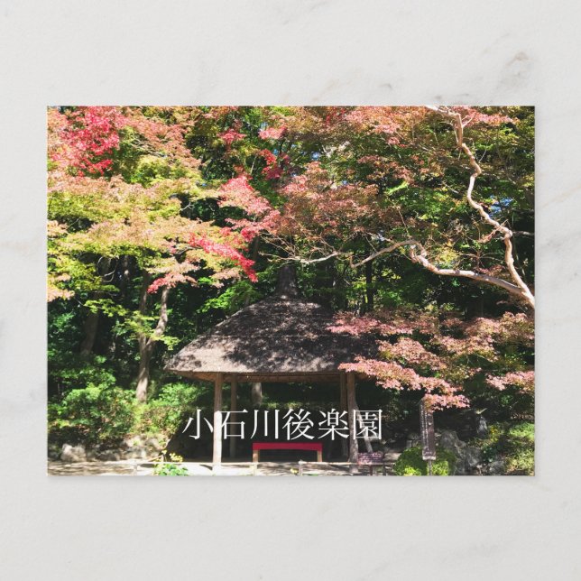 Coloured Maple Trees and Rest House Postcard (Front)