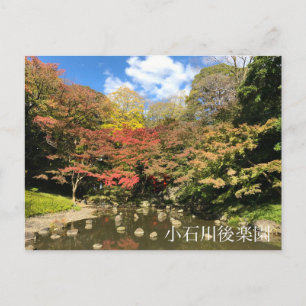 Coloured Maple Trees by Pond Postcard
