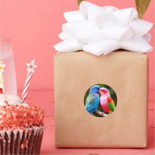 Coloured Parrots Perched Together Classic Round Sticker