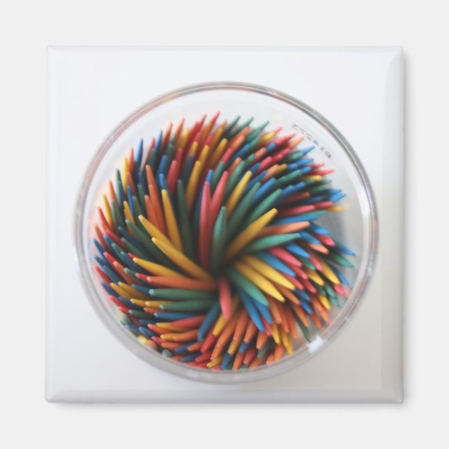 Coloured Toothpicks Magnet (Front)