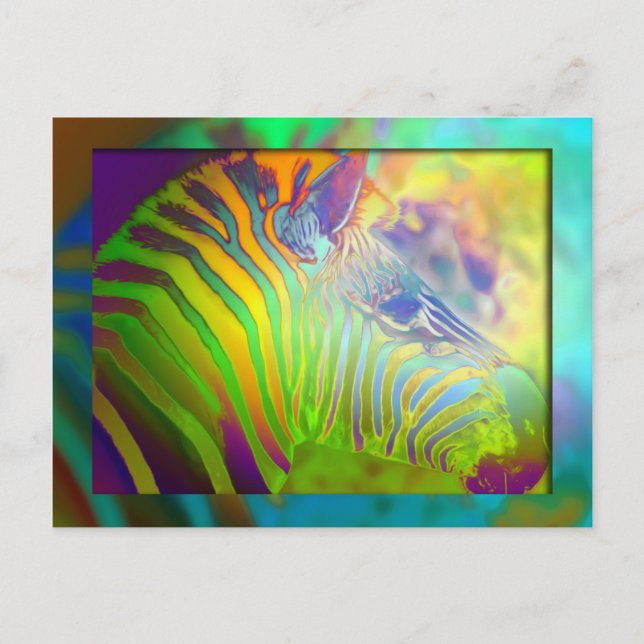 coloured zebra postcard (Front)