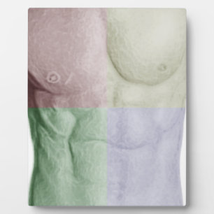 Colourful Abs Plaque