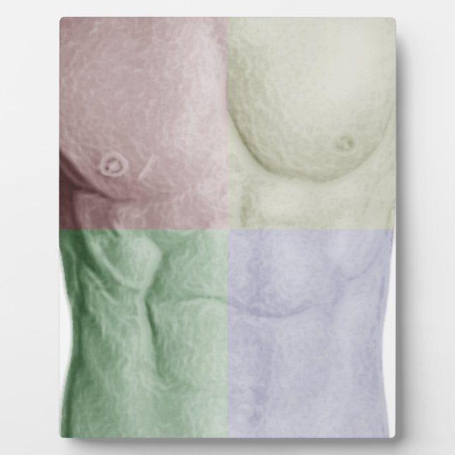 Colourful Abs Plaque (Front)