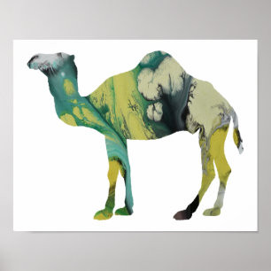 Colourful abstract Dromedary silhouette Poster