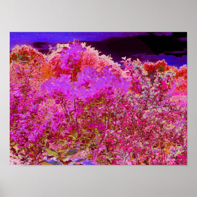 Colourful Abstract Garden with Purple Sunset Poster (Front)