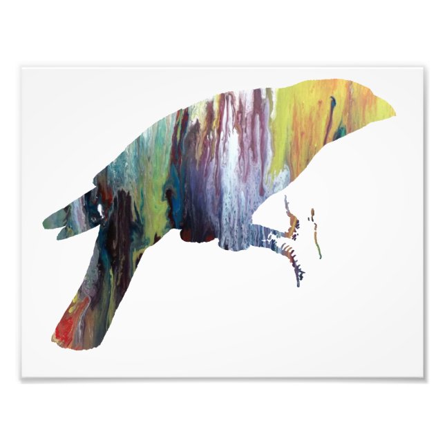 Colourful abstract  Grossbeak silhouette Photo Print (Front)