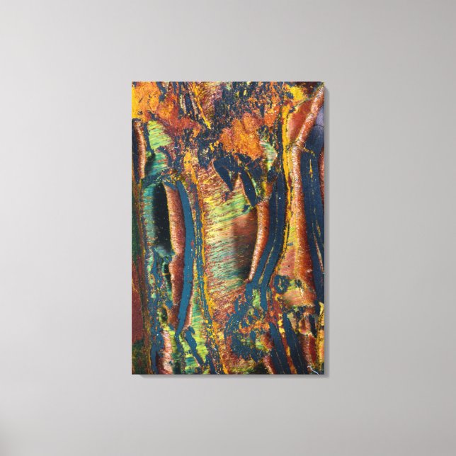 Colourful abstract of a Tiger eye Canvas Print (Front)
