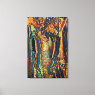 Colourful abstract of a Tiger eye Canvas Print
