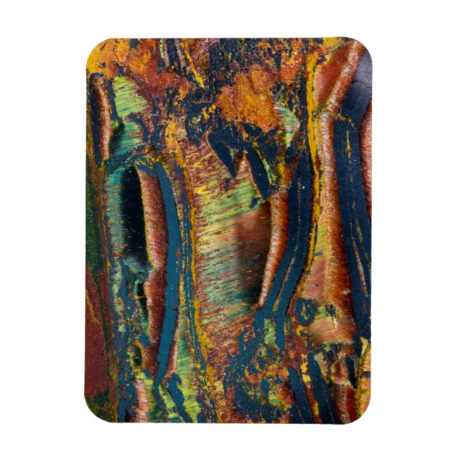 Colourful abstract of a Tiger eye Magnet (Vertical)