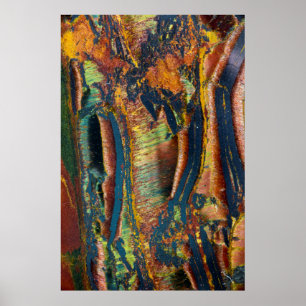 Colourful abstract of a Tiger eye Poster