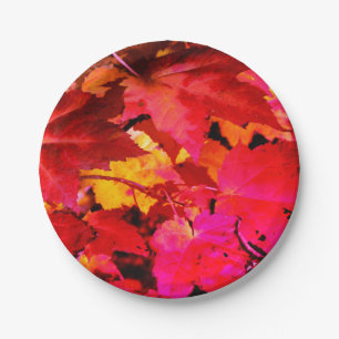 Colourful abstract pink red orange Autumn Leaves Paper Plate