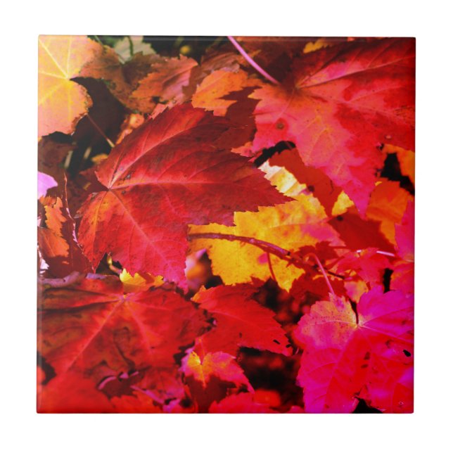 Colourful abstract pink red orange Autumn Leaves Tile (Front)