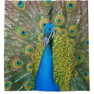 Colourful and Proud Peacock Shower Curtain