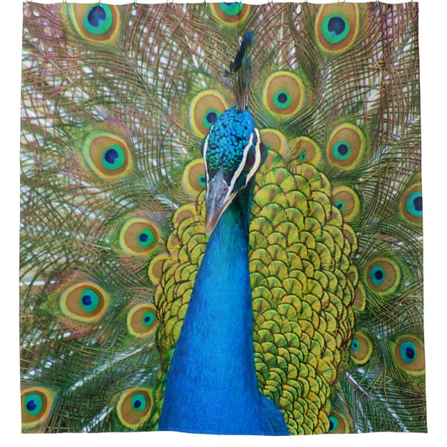 Colourful and Proud Peacock Shower Curtain (Front)