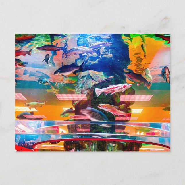 Colourful Aquarium Exhibit with Fish Postcard (Front)