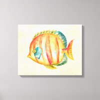 Colourful Aquarium Fish
