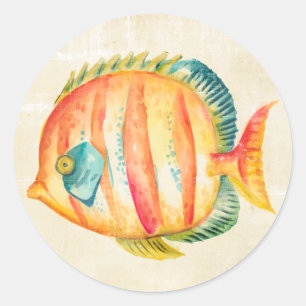 Colourful Aquarium Fish Classic Round Sticker