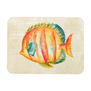Colourful Aquarium Fish Magnet