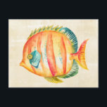 Colourful Aquarium Fish Postcard<br><div class="desc">Colourful Aquarium Fish  Artist: Chariklia Zarris</div>