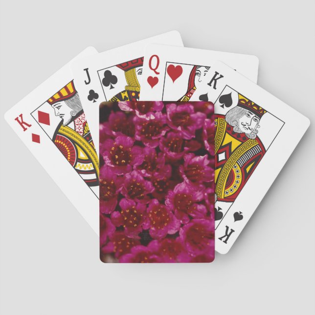 Colourful Arctic Purple Saxifrage Wildflower Desig Playing Cards (Back)