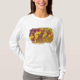 Colourful aspens in Logan Canyon Utah in the 2 T-Shirt