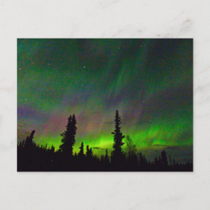 Colourful Aurora over Alaska Postcard