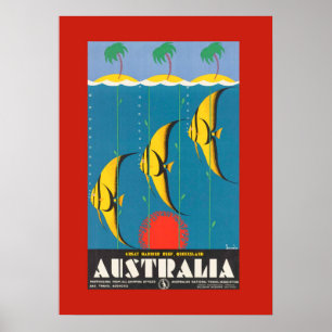 Colourful Australian Fish Travel Poster