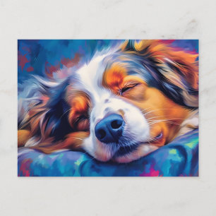 Colourful Australian Shepherd sleeping Postcard