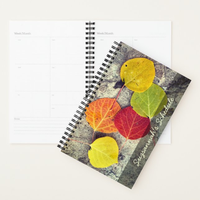 Colourful Autumn Aspen Leaves Photo Personalised  Planner (Display)