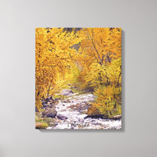 Colourful Autumn Aspen Trees in Morrison Colorado Canvas Print