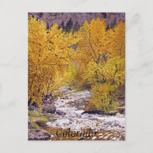 Colourful Autumn Aspen Trees in Morrison Colorado Postcard
