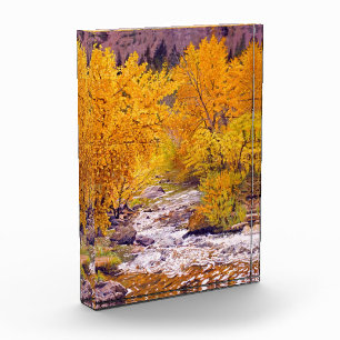 Colourful Autumn Aspens in Colorado Photo Block