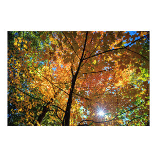 Colourful Autumn Central Park view Photo Print