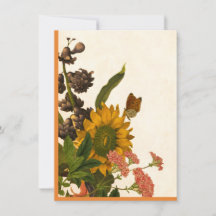 Colourful Autumn Flowers Happy Thanksgiving