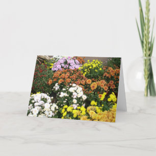 Colourful Autumn Flowers Holiday Card