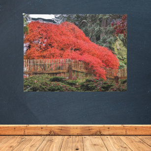 Colourful Autumn Japanese Garden Landscape Canvas Print