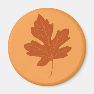 Colourful Autumn Leaf Magnet
