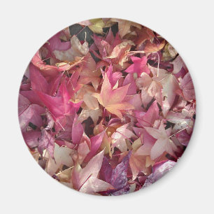 Colourful autumn leafs magnet