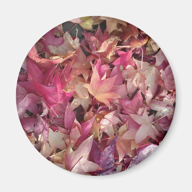 Colourful autumn leafs magnet (Front)
