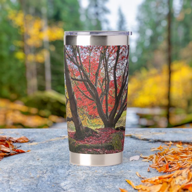 Colourful Autumn Leaves and Trees Landscape Insulated Tumbler (Outdoor)