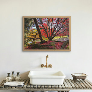 Colourful Autumn Leaves and Trees Landscape Photo Print