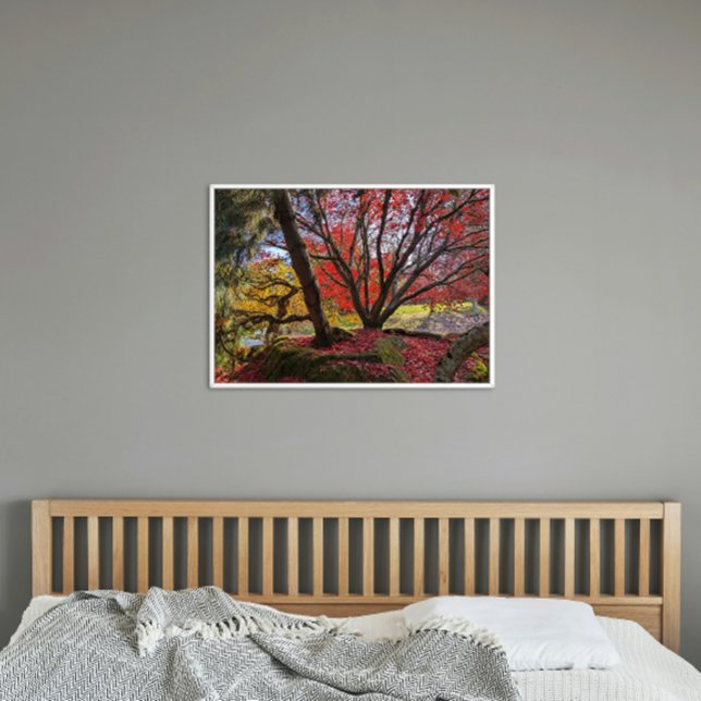 Colourful Autumn Leaves and Trees Landscape Poster (In Situ)