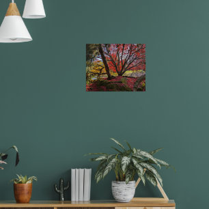Colourful Autumn Leaves and Trees Landscape Poster