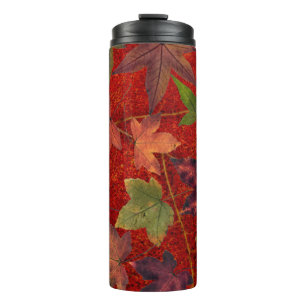 Colourful Autumn Leaves Brown Red Green Tumbler