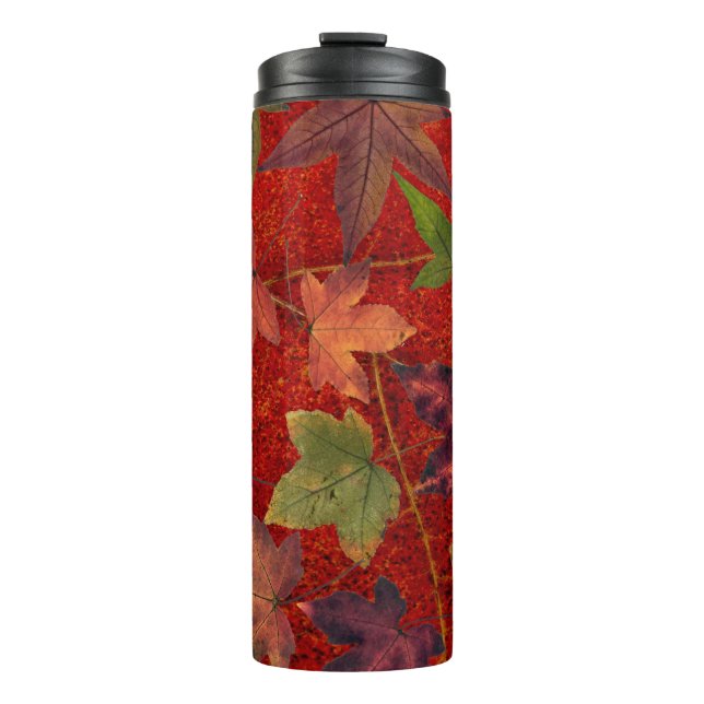 Colourful Autumn Leaves Brown Red Green Tumbler (Front)